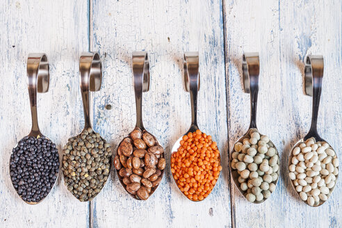 Row of spoons with different dried pulses - SBDF002054