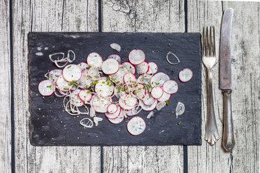 Red radish salad with oniond and cives garnished on slate - SBDF002051