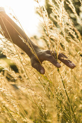 Close-up of woman touching tall grass in field - UUF004826