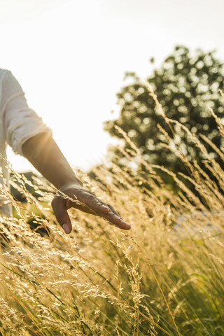 Nahaufnahme einer Frau, die hohes Gras auf einem Feld berührt, lizenzfreies Stockfoto