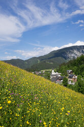 Österreich, Niederösterreich, Mostviertel, Eisenwurzen, Göstling, Blumenwiese in Lassing - SIEF006610