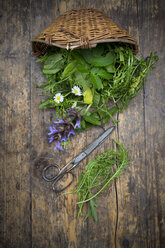 Weidenkorb mit verschiedenen Wildkräutern und essbaren Blumen - LVF003507