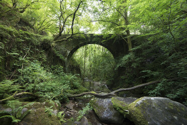 Spain, Galicia, Pontedeume, Old stone bridge in the forest, Natural Park Fragas del Eume - RAEF000208