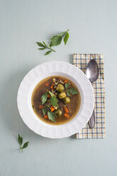 Vegetable soup with cereals and lovage - MYF001030