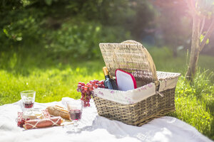 Deutschland, Bayern, Picknick auf der Wiese mit Wein, Trauben, Wurst, Käse und Braten - SARF001920