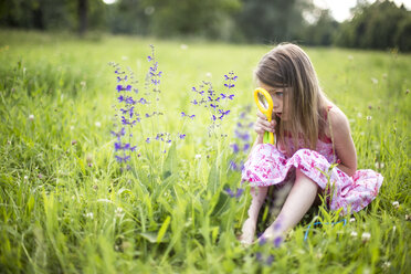 Little girl sitting on a meadow watching flowers with magnifying glass - SARF001921