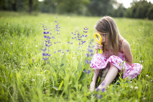 Kleines Mädchen sitzt auf einer Wiese und betrachtet Blumen mit einem Vergrößerungsglas - SARF001921
