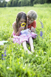 Brother and sister sitting on a meadow with insect can and magnifying glass - SARF001925