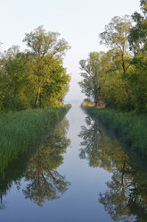 Germany, Bavaria, Chiemgau, morning mood at Lake Chiemsee with Tiroler Ache estuary - SIEF006621