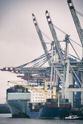 Germany, Hamburg, Port of Hamburg, Container ship unloading - KRP001425