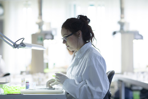 Medizinischer Laborant beim Sezieren von Proben, lizenzfreies Stockfoto