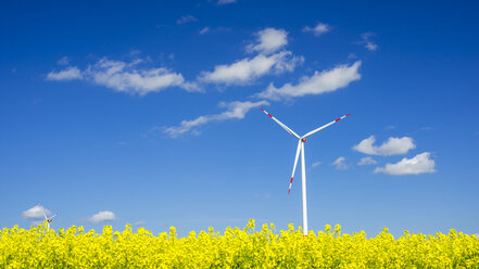 Germany, Baden-Wuerttemberg, Tomerdingen, wind wheel, rape field - WGF000669