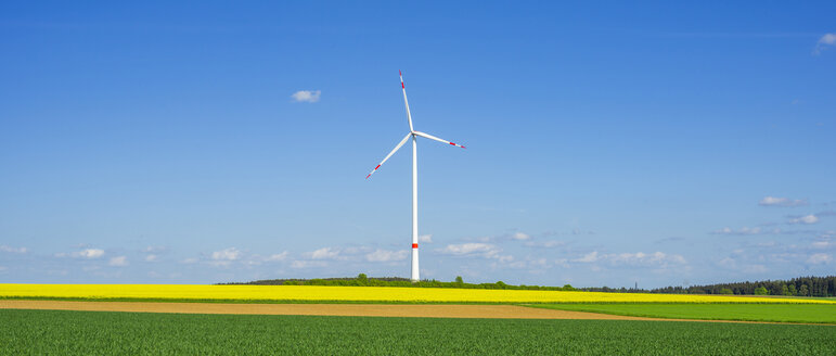 Deutschland, Tomerdingen, Windpark, Rapsfeld - WGF000670