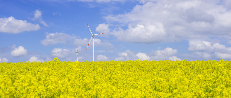 Deutschland, Baden-Württemberg, Tomerdingen, Windpark, Rapsfeld - WGF000671