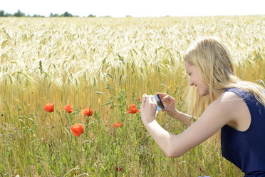 Junge Frau fotografiert Mohnblumen mit Smartphone - BFRF001255