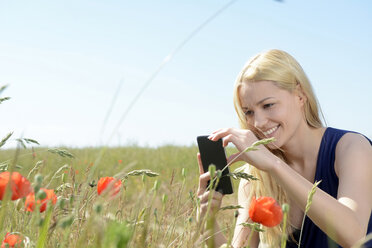 Junge Frau fotografiert Mohnblumen mit Smartphone - BFRF001256