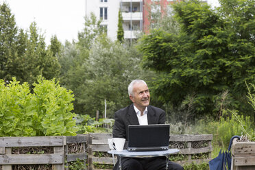 Businessman sitting with laptop and cup of coffee between raised beds - SGF001706