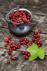 Fresh red currants in zinc bowl - SARF001962