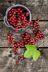 Frische rote Johannisbeeren in einer Zinkschale - SARF001964