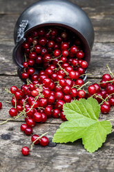 Frische rote Johannisbeeren in einer Zinkschale - SARF001966