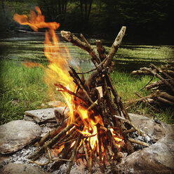 Campfire - GWF004170
