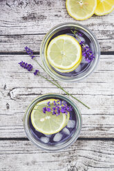 Selbstgemachte Lavendel-Limonade in Gläsern - LVF003569