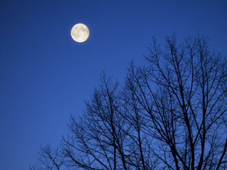 Full moon at Blue Hour - KRP001463