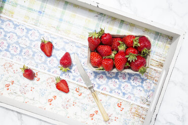 Kiste mit Erdbeeren - LVF003556