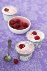 Homemade strawberry yogurt ice cream - MYF001045