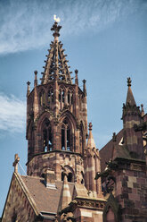 Germany, Baden-Wuerttemberg, Freiburg, Freiburg Minster - TAMF000021