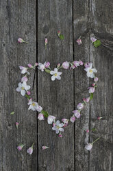 Apple blossoms on weathered wood, heart - CRF002691