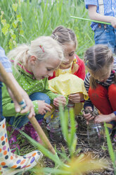 Germany, Children collecting worms in nature - MJF001531