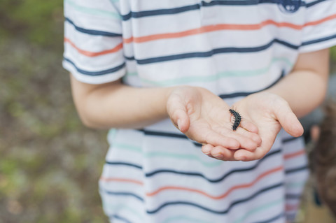 Deutschland, Kleiner Junge betrachtet die Raupe eines Pfirsichfalters, lizenzfreies Stockfoto