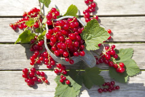 Krug mit roten Johannisbeeren, lizenzfreies Stockfoto