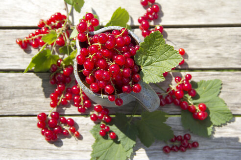 Krug mit roten Johannisbeeren - YFF000444