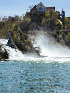 Schweiz, Schaffhausen, Rheinfall mit Schloss Laufen - KRP001492