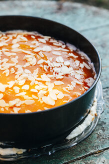 Hausgemachter Kuchen mit Gelatine-Aprikosenglasur, bestreut mit gehobelten Mandeln - BZF000172