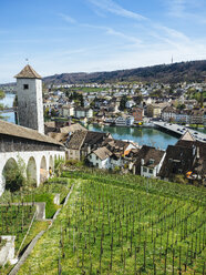 Schweiz, Schaffhausen, Blick auf den Rhein vom Munot aus - KRPF001505