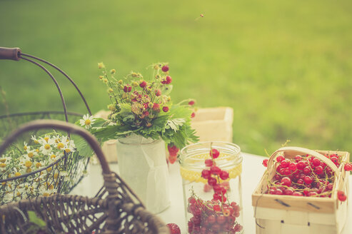 Kamillenblüten, Walderdbeeren und rote Johannisbeeren auf einem Tisch - MJF001602