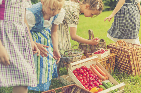 Deutschland, Sachsen, kleine Mädchen in traditioneller Kleidung mit ihrer Ernte auf einer Wiese - MJF001603