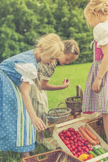 Deutschland, Sachsen, drei kleine Mädchen in traditioneller Kleidung mit ihrer Ernte auf einer Wiese - MJF001604