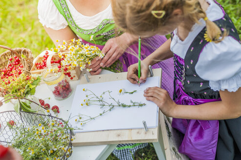 Deutschland, Sachsen, Mädchen im Dirndl lernt Pflanzen zu zeichnen - MJF001608