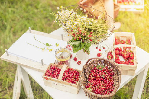 Kamillenblüten, Walderdbeeren und rote Johannisbeeren auf einem Tisch - MJF001612