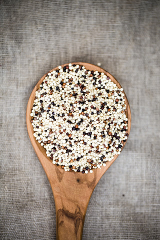 Holzlöffel mit dreifarbigem Bio-Quinoa, lizenzfreies Stockfoto