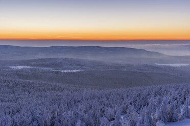 Deutschland, Sachsen-Anhalt, Nationalpark Harz, Nadelwald bei Sonnenuntergang - PVCF000437