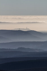 Germany, Saxony-Anhalt, Harz National Park, Coniferous forest, atmospheric inversion - PVCF000434