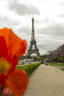 Frankreich, Paris, Blick auf den Eiffelturm - JUNF000359