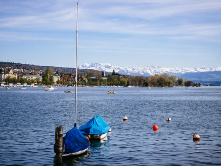 Schweiz, Zürich, Zürichsee, Alpen im Hintergrund - KRPF001481