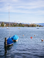 Schweiz, Zürich, Zürichsee, Alpen im Hintergrund - KRPF001482