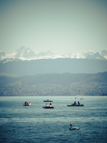 Schweiz, Zürich, Zürichsee mit Booten und Schwan, Alpen im Hintergrund, lizenzfreies Stockfoto